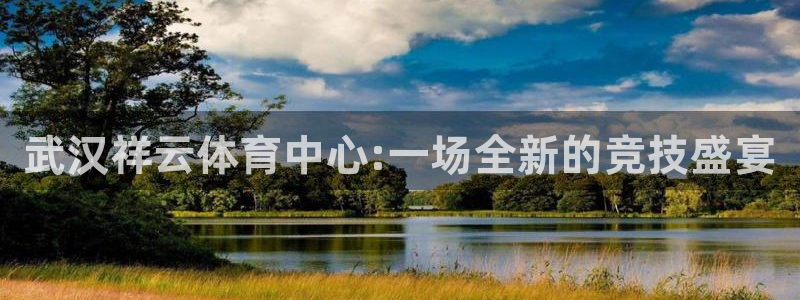 尊龙官网下载平台APP：武汉祥云体育中心:一场全新的