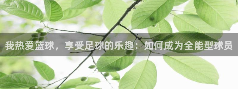 德国尊龙官方正版app集团：我热爱篮球，享受足球的乐