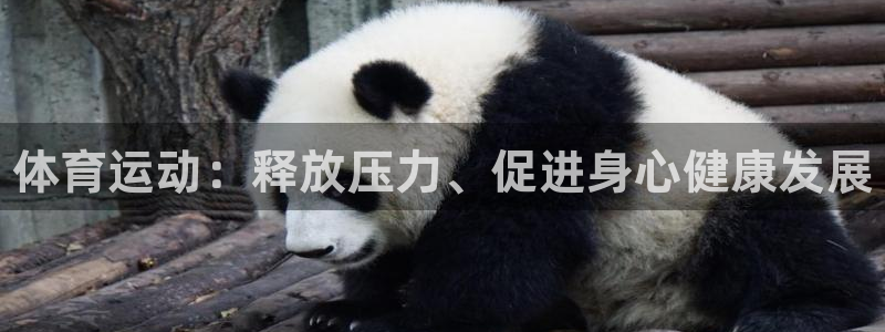 尊龙官网下载招商：体育运动：释放压力、促进身心健康发
