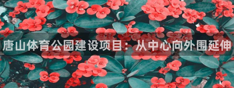 尊龙官方正版app集团官网首页：唐山体育公园建设项目