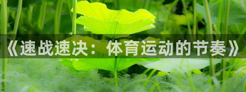 尊龙官网下载平台APP：《速战速决：体育运动的节奏》