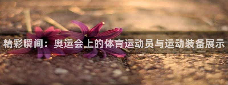 尊龙官网下载招商电话号码是多少啊：精彩瞬间：奥运会上