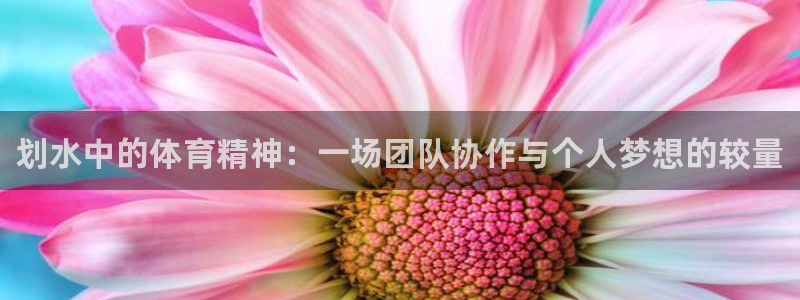 德国尊龙官方正版app集团：划水中的体育精神：一场团队协作与
