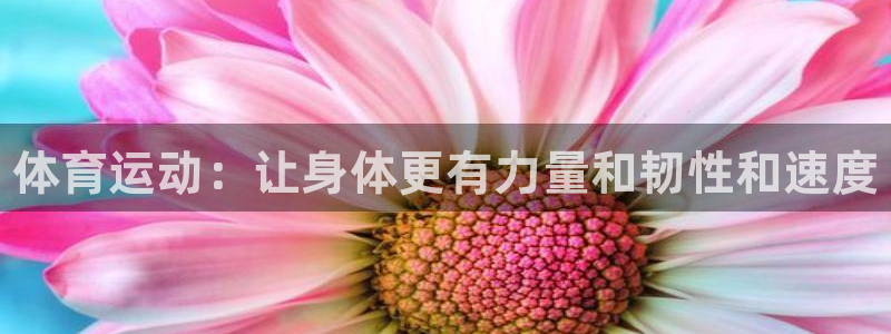 尊龙官网下载软件：体育运动：让身体更有力量和韧性和速