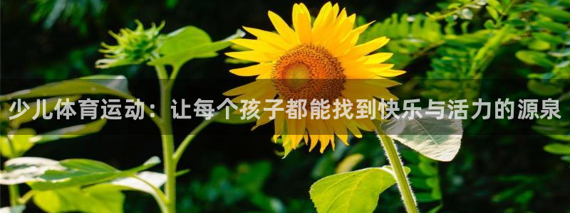 尊龙官网下载平台注册：少儿体育运动：让每个孩子都能找到快乐与