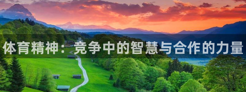尊龙官网下载招商电话地址查询：体育精神：竞争中的智慧与合作的