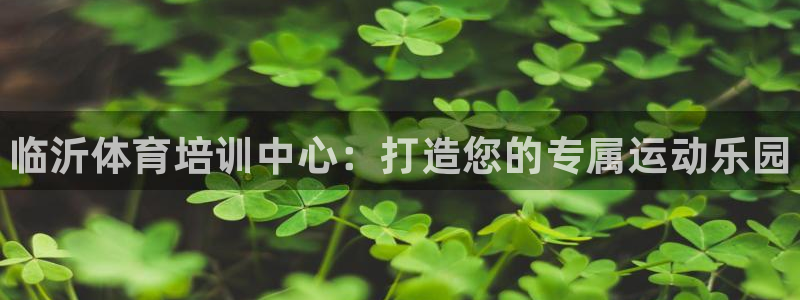 尊龙官方正版app娱乐首页官网下载：临沂体育培训中心：打造您