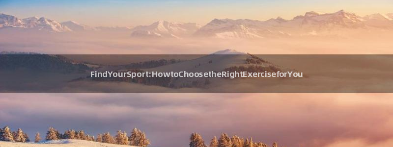 尊龙官方正版app娱乐网站：FindYourSpor