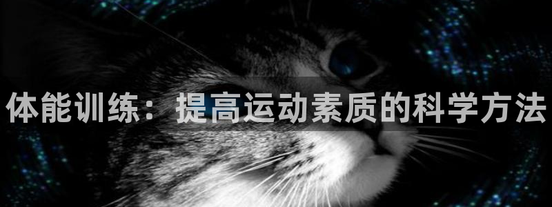 尊龙官网下载平台假的吗是真的吗吗：体能训练：提高运动