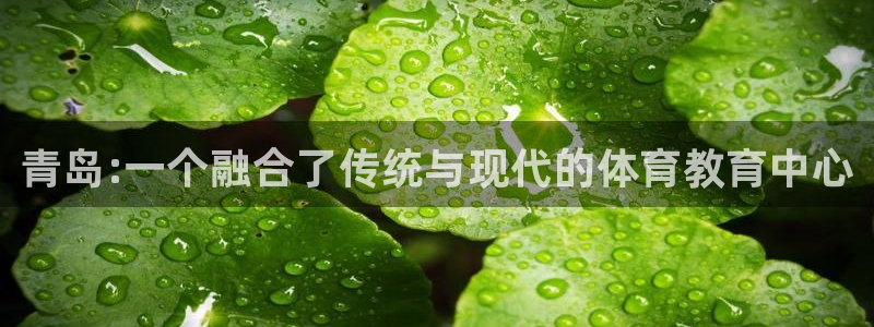 尊龙官网下载联系电话：青岛:一个融合了传统与现代的体育教育中