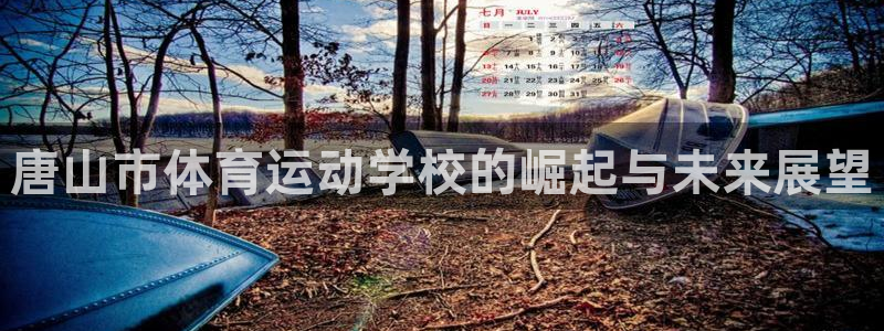 尊龙官网下载软件：唐山市体育运动学校的崛起与未来展望