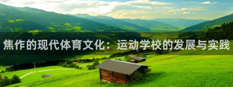 尊龙官方正版app集团logo：焦作的现代体育文化：