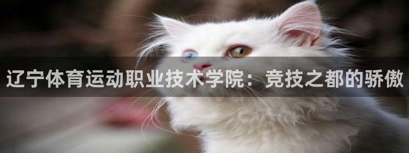 尊龙官方正版app集团官网首页：辽宁体育运动职业技术