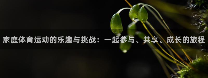 尊龙官网下载招商电话号码是多少啊：家庭体育运动的乐趣