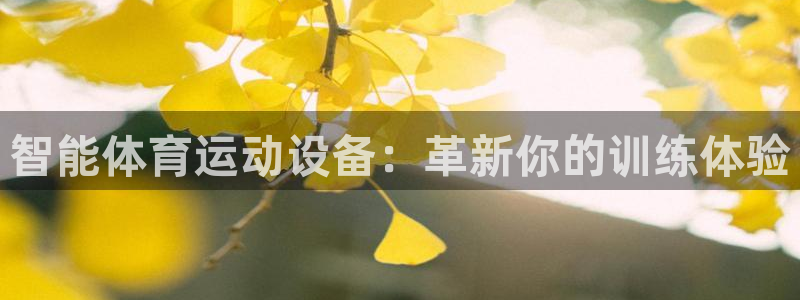 尊龙官网下载平台注册：智能体育运动设备：革新你的训练体验