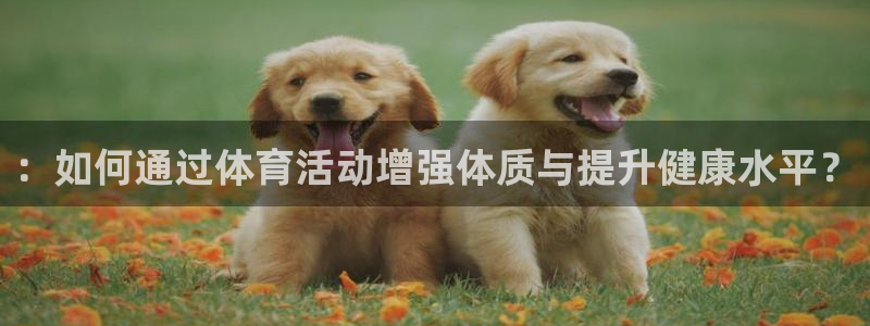 尊龙官网下载平台是正规平台吗知乎：：如何通过体育活动增强体质