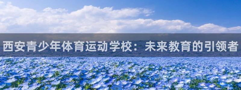 尊龙官方正版app集团