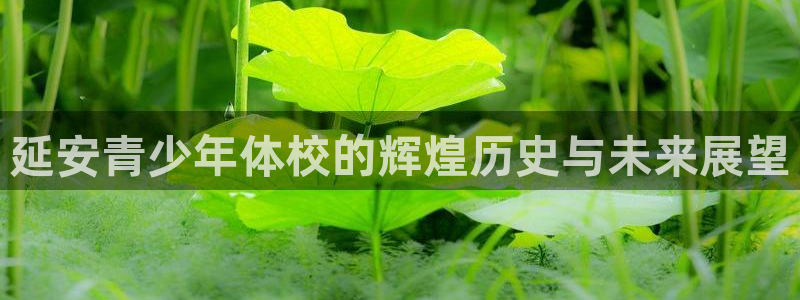 尊龙官方正版app集团官网首页：延安青少年体校的辉煌