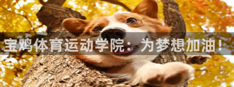 尊龙官网下载是干嘛的公司