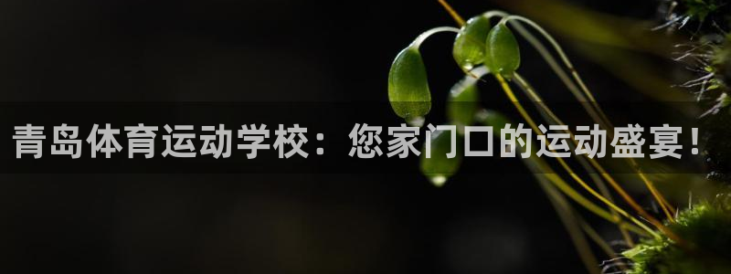 尊龙官网下载平台假的吗是真的吗：青岛体育运动学校：您家门口的