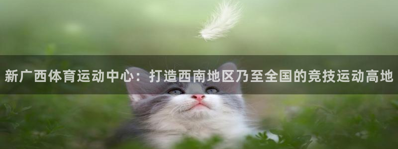 尊龙官网下载招商电话地址:新广西体育运动中心:打造西南地区乃