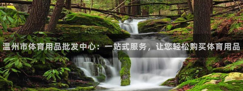 尊龙官方正版app娱乐首页官网下载:温州市体育用品批发中心: