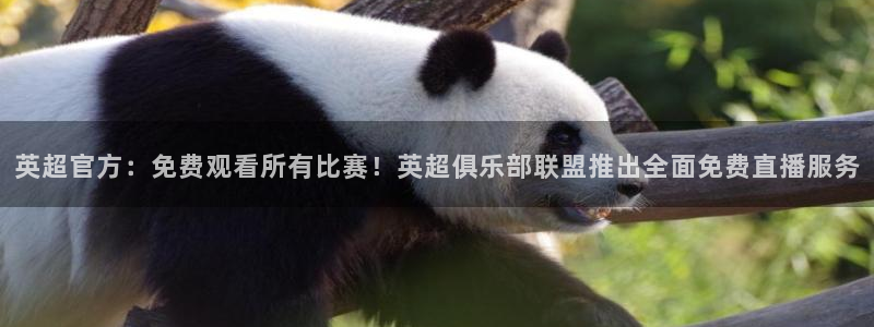 绿茵体育直播官网下载：英超官方：免费观看所有比赛！英超俱乐部联盟推出全面免费直播服务
