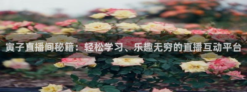 绿茵足球官网：寅子直播间秘籍：轻松学习、乐趣无穷的直播互动平台