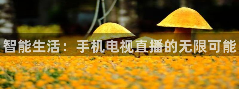 绿茵直播：智能生活：手机电视直播的无限可能