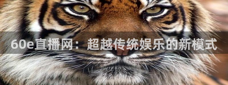 绿茵直播nba免费：60e直播网：超越传统娱乐的新模式