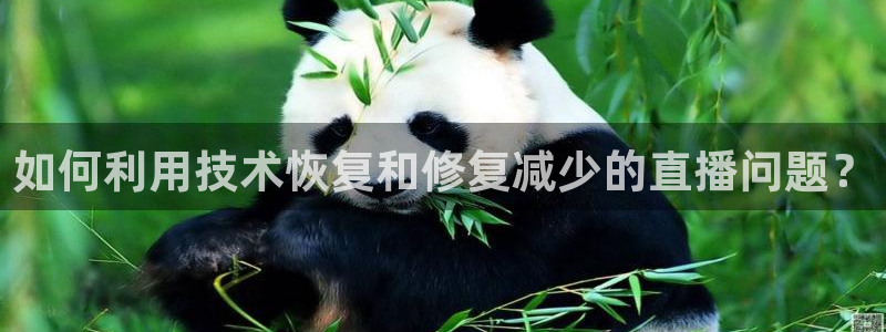 绿茵直播cba：如何利用技术恢复和修复减少的直播问题？