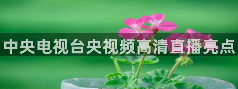 cba绿茵直播：中央电视台央视频高清直播亮点