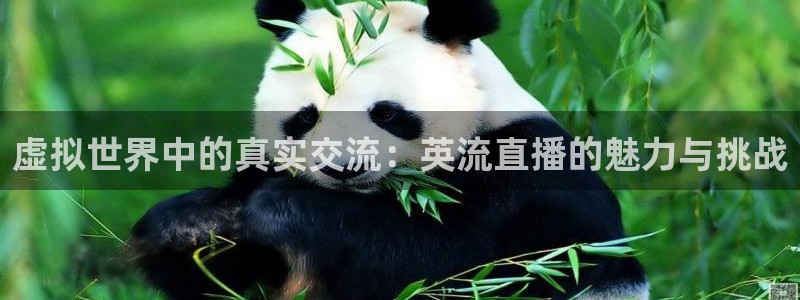 球球看绿茵：虚拟世界中的真实交流：英流直播的魅力与挑战